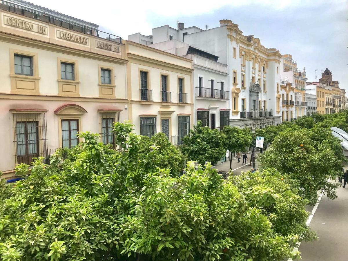 Apartamento Centro De Jerez Apartment Jerez de la Frontera Ngoại thất bức ảnh