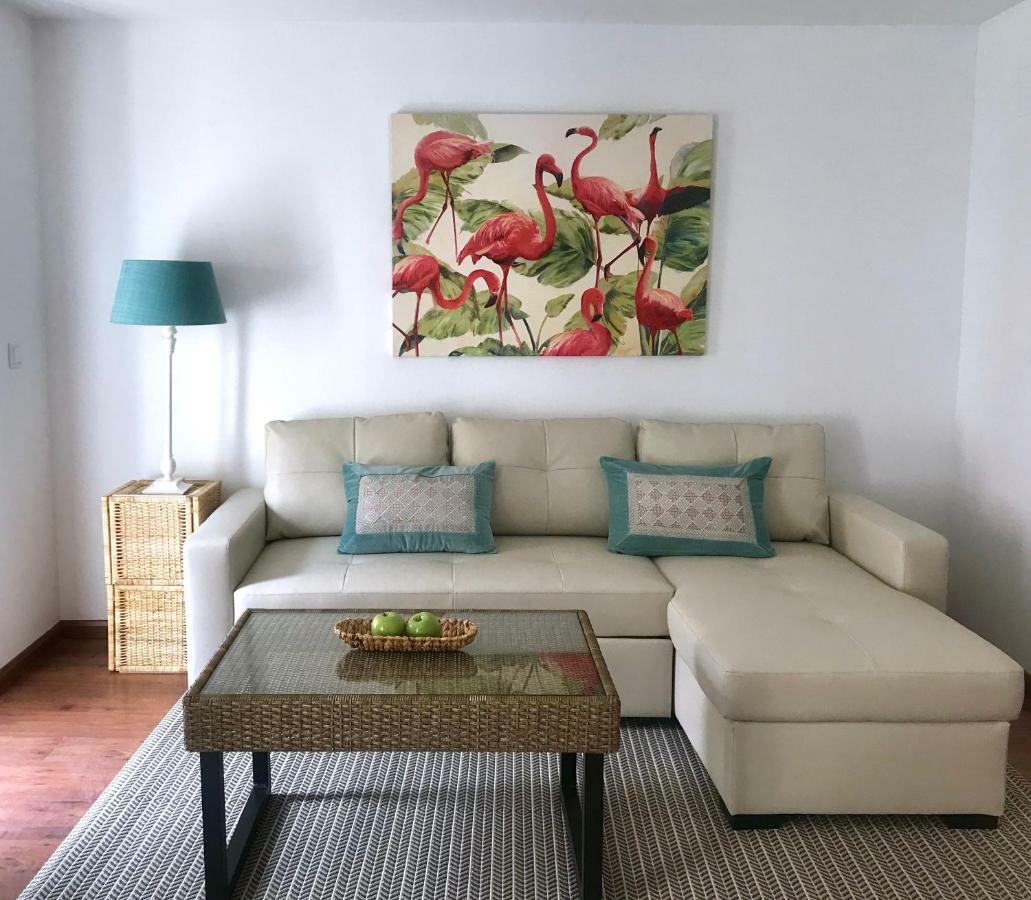 Apartamento Centro De Jerez Apartment Jerez de la Frontera Ngoại thất bức ảnh
